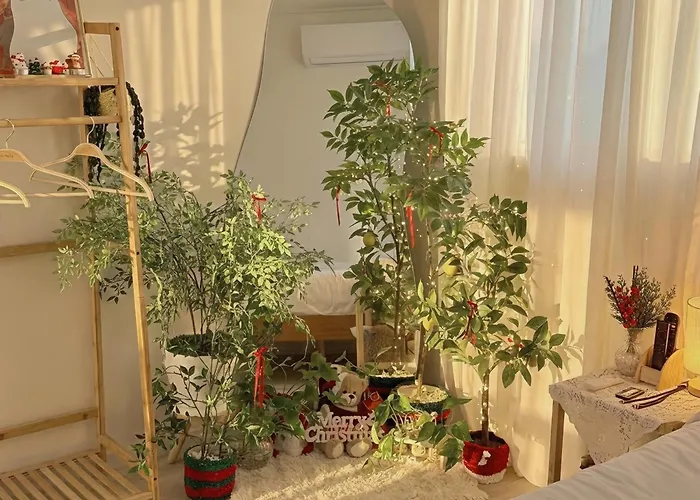 포근채 서울특별시